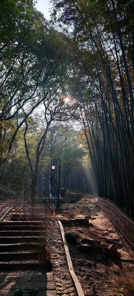 Daudi Juma tweet media