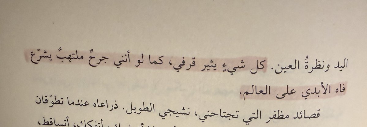 ☀︎ ‏ tweet media