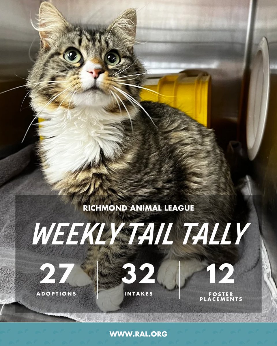 RichmondAnimalLeague tweet media