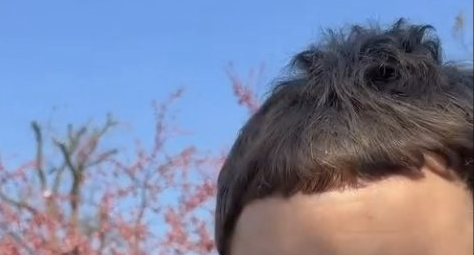 FlorianFlicks tweet media