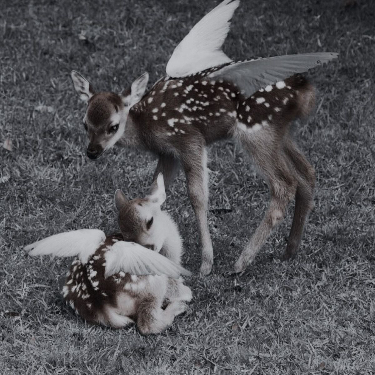 𝔪⌖ ໒꒱ ‧₊˚ tweet media