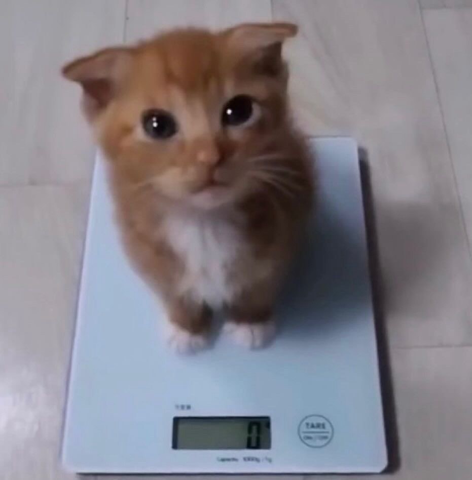 i drink soup tweet media