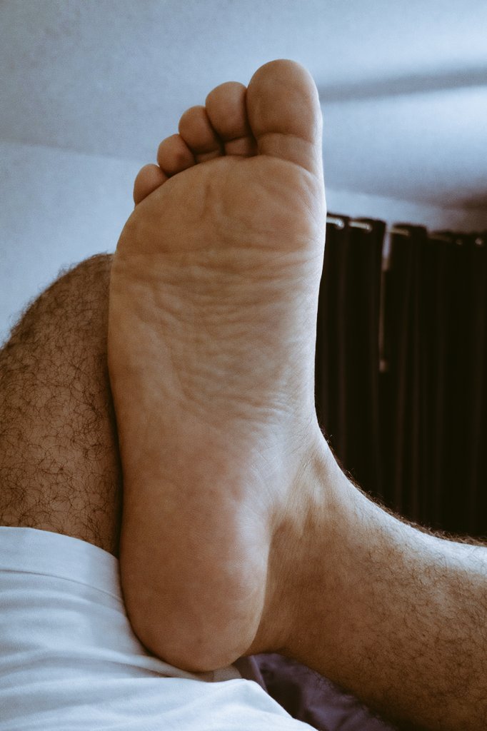 cara regular tweet media