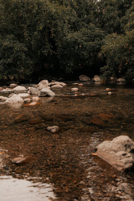 Teresa Massey tweet media