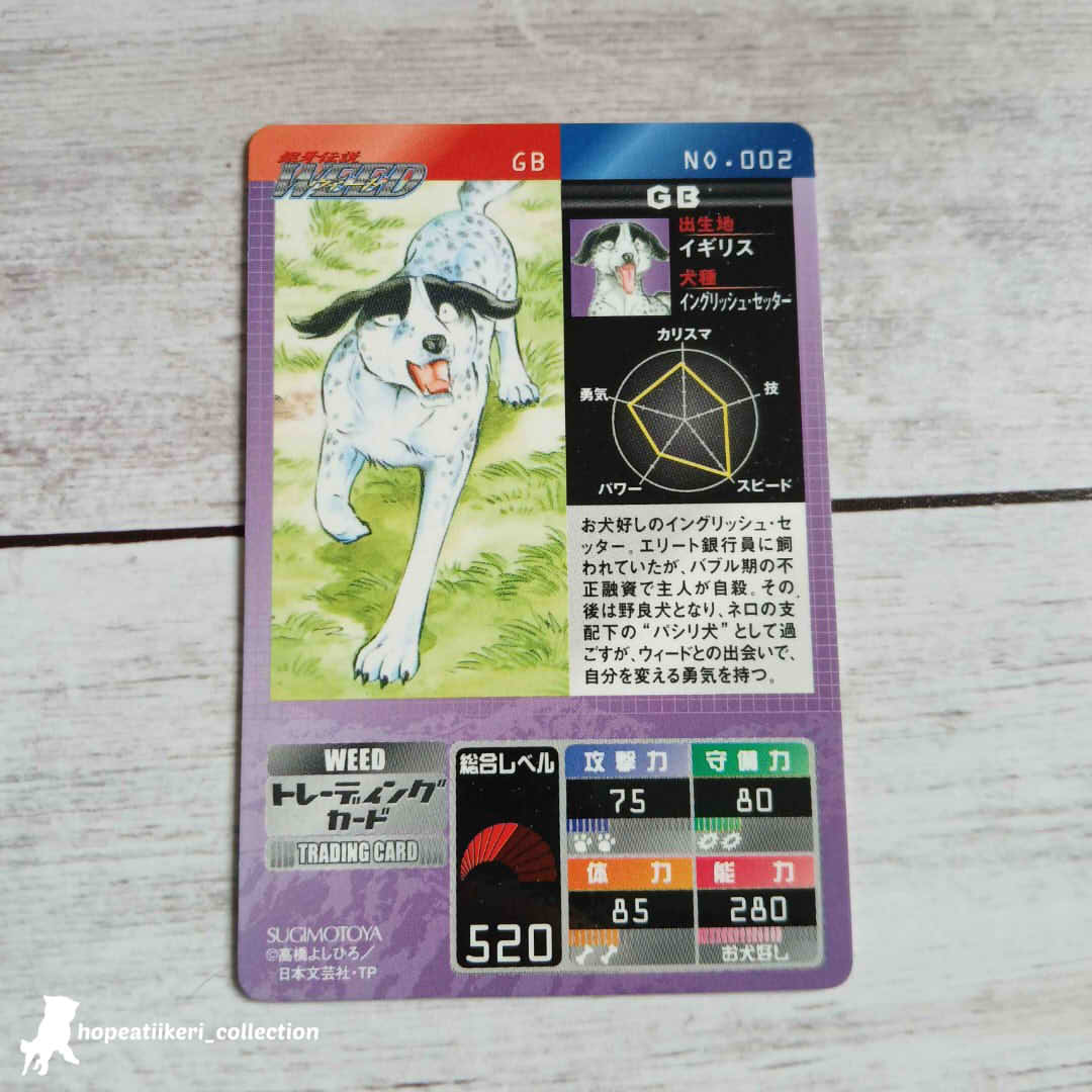 hopeatiikeri's tweet photo. I was able to won one of the rare GDW trading cards from fellow collector recently! These were made by Sugimotoya in 2004 and included in packets of gummies. Unfortunately they stopped making these very early in production.
#ginga #gingacollection #gingacollector #銀牙 https://t.co/ypoxpyFzeB