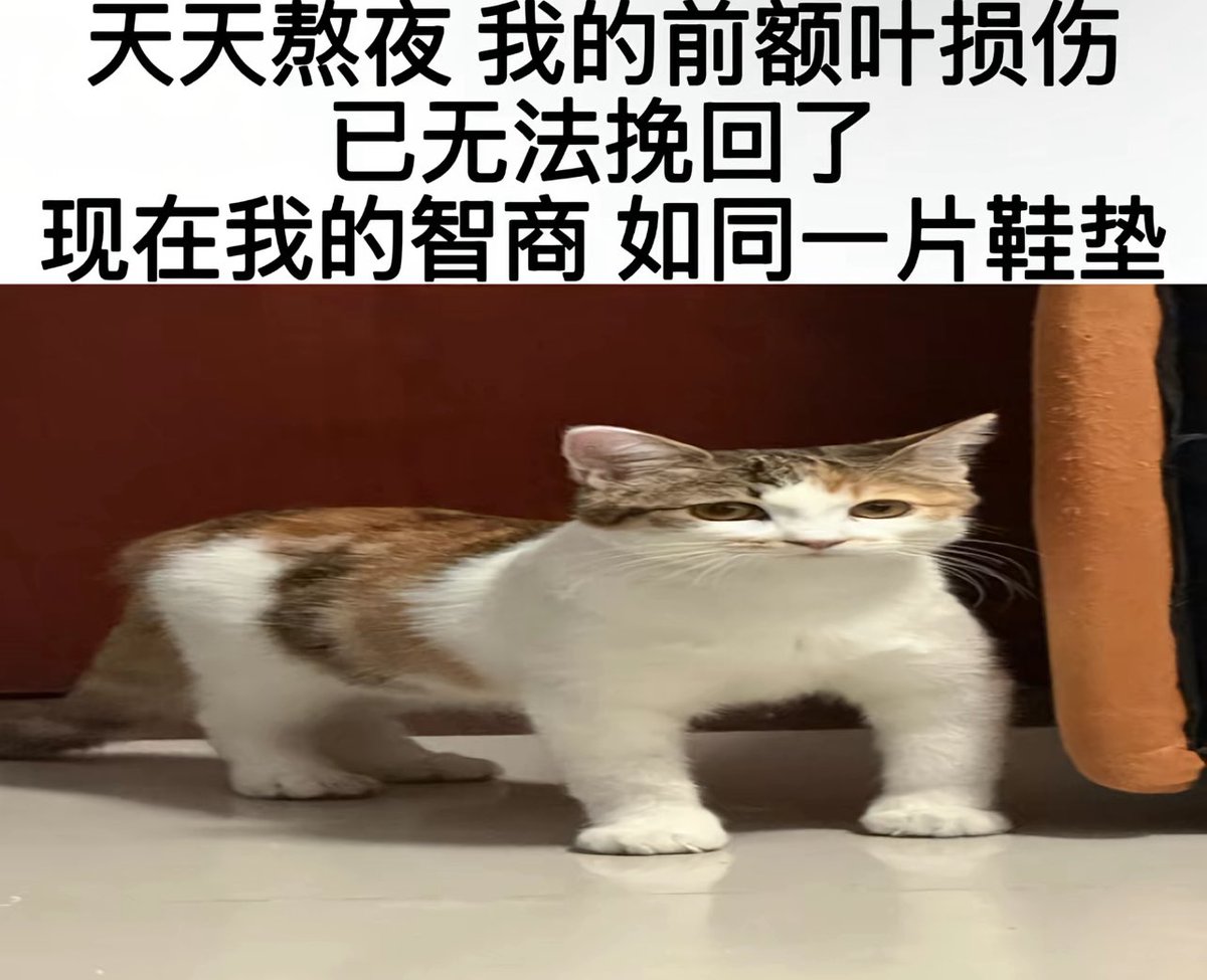 叉烧☃︎ tweet media