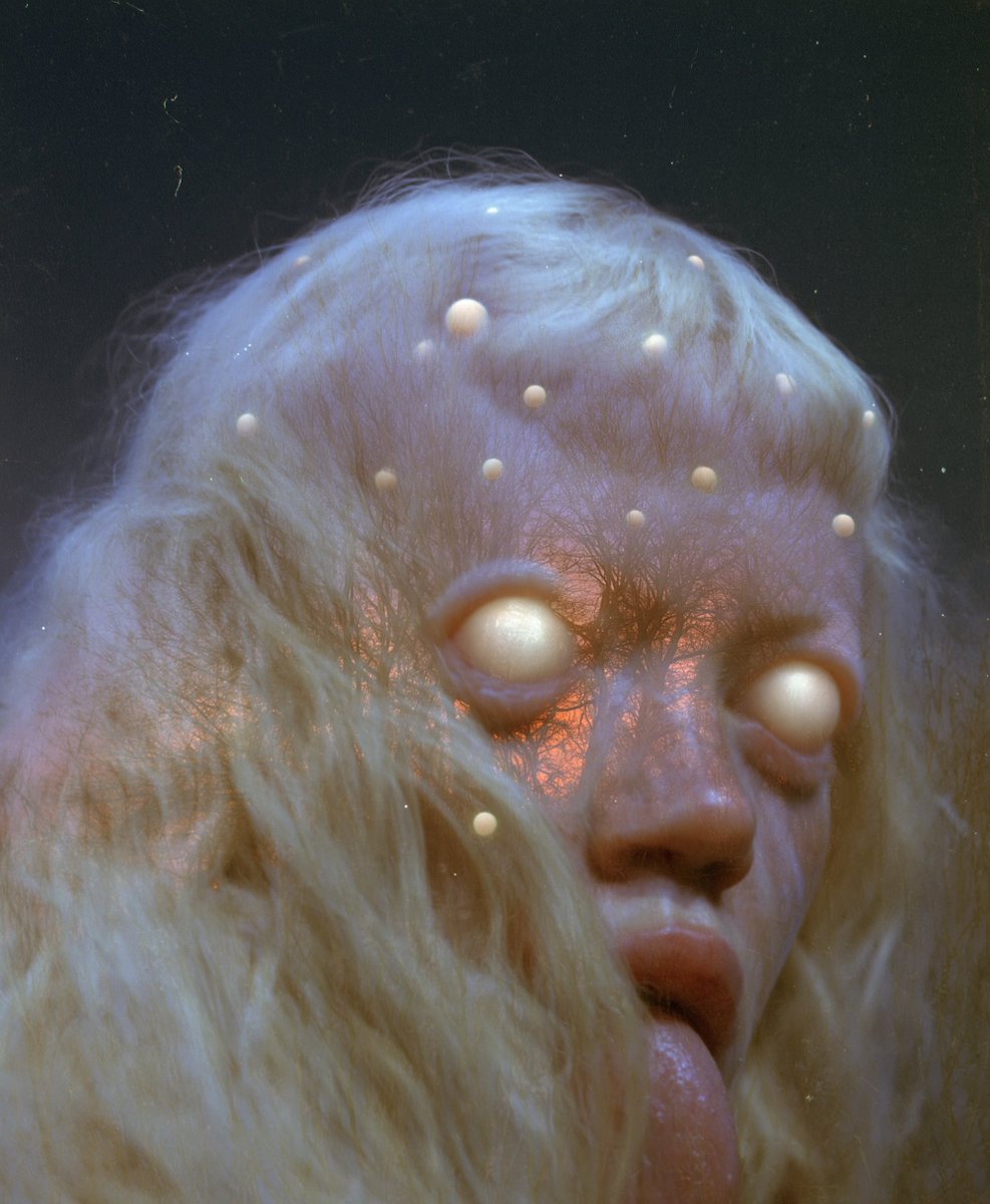 Dreaming Tulpa 🥓👑 tweet media