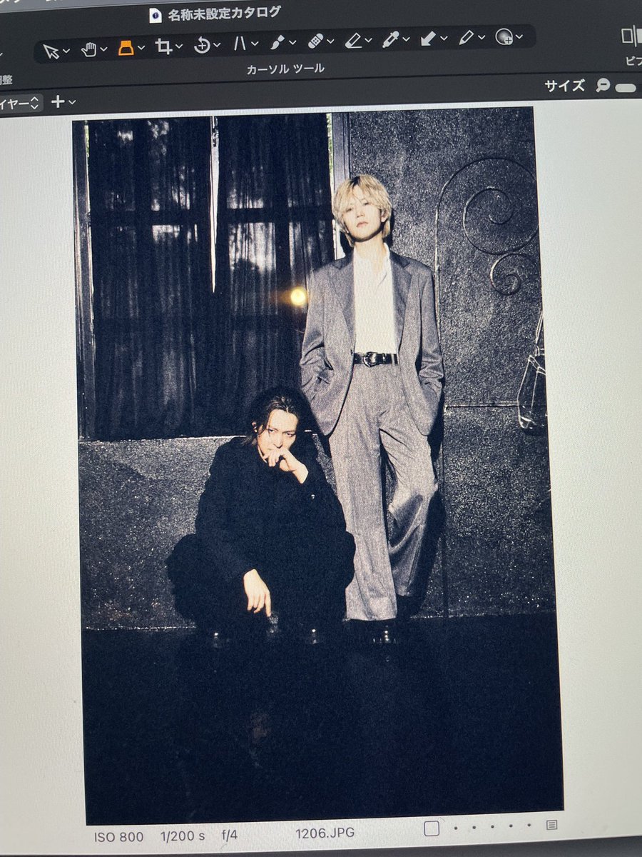 大川晋児　Shinji Okawa（Photographer） tweet media