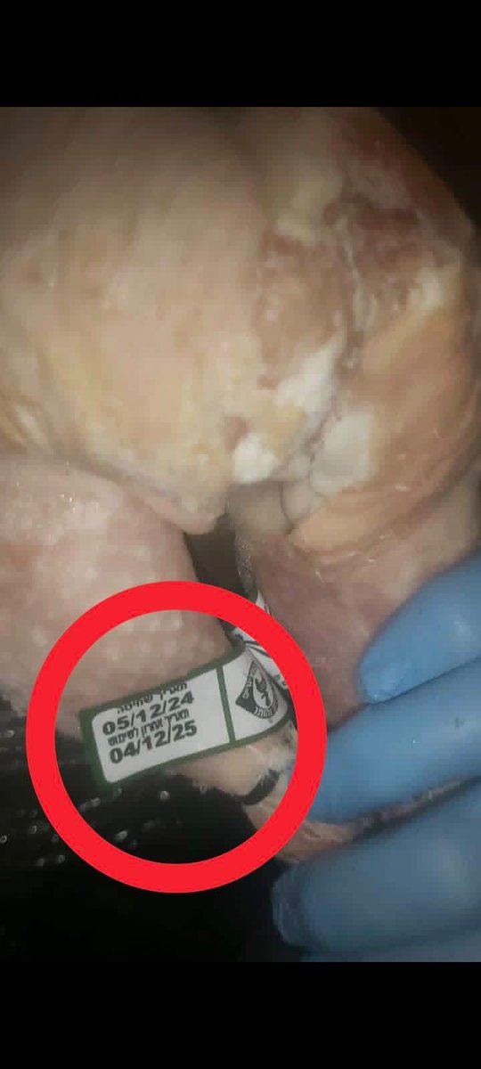 Tamer Nahed 𓂆🇵🇸 tweet media