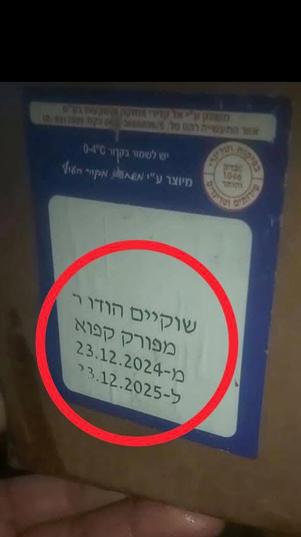 Tamer Nahed 𓂆🇵🇸 tweet media