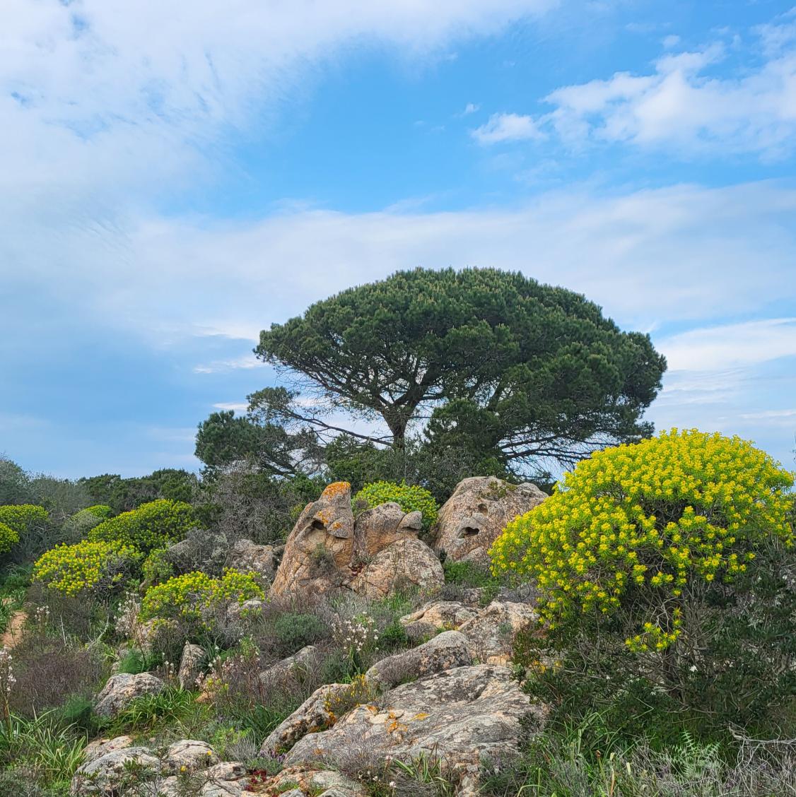 Steffen Noleppa tweet media