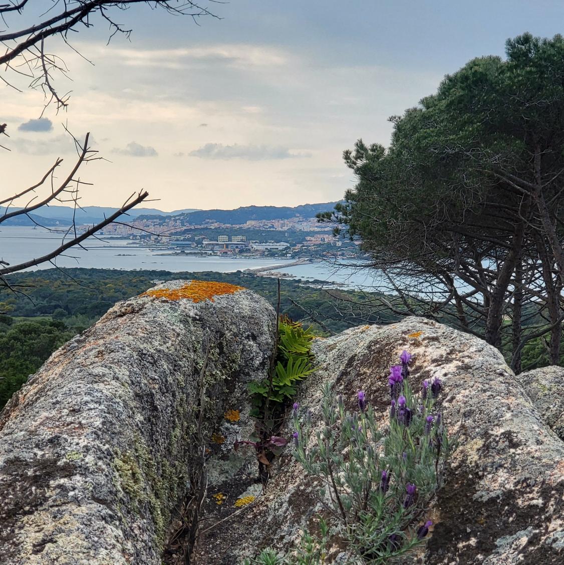 Steffen Noleppa tweet media