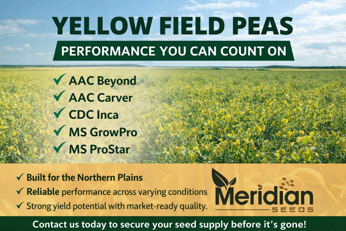 Meridian Seeds tweet media