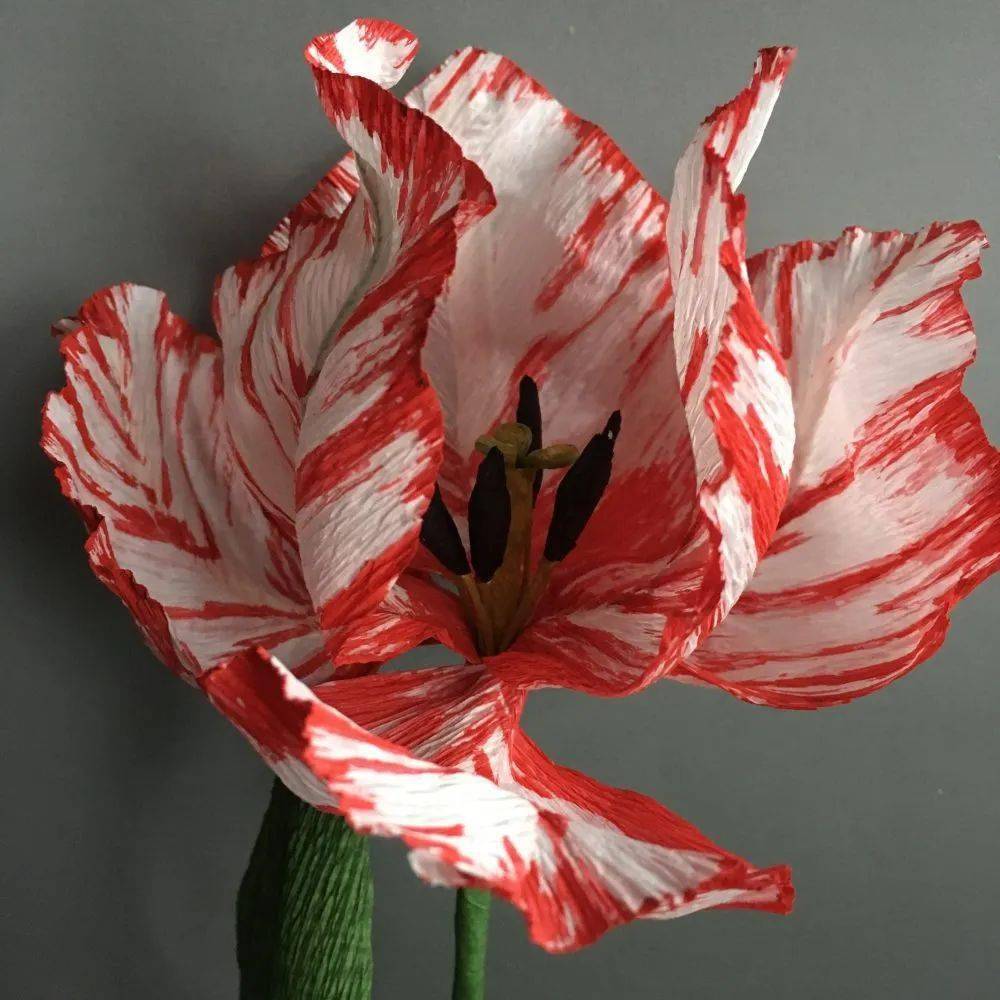 john vinje tweet media