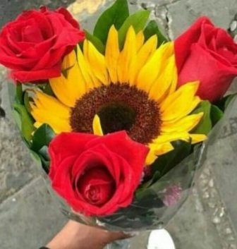 alberan5's tweet photo. https://t.co/jxYBv1CitD