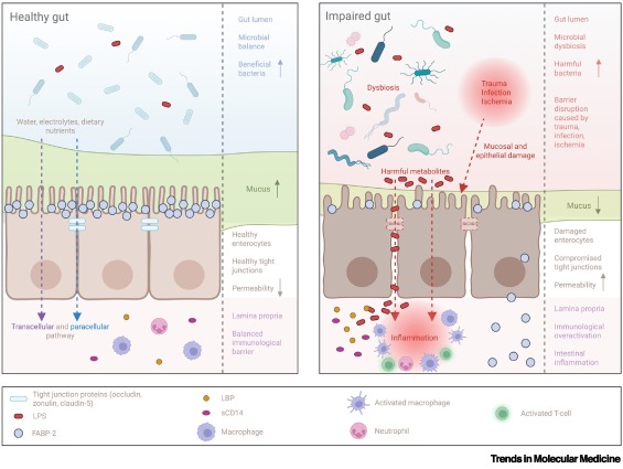 Trends in Molecular Medicine tweet media