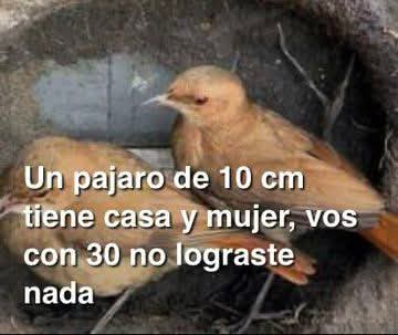 Vazuco ☭🇨🇴 tweet media