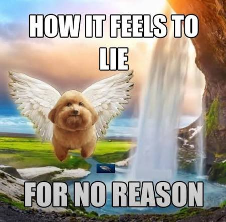 SIXTEEN | Z-74 tweet media