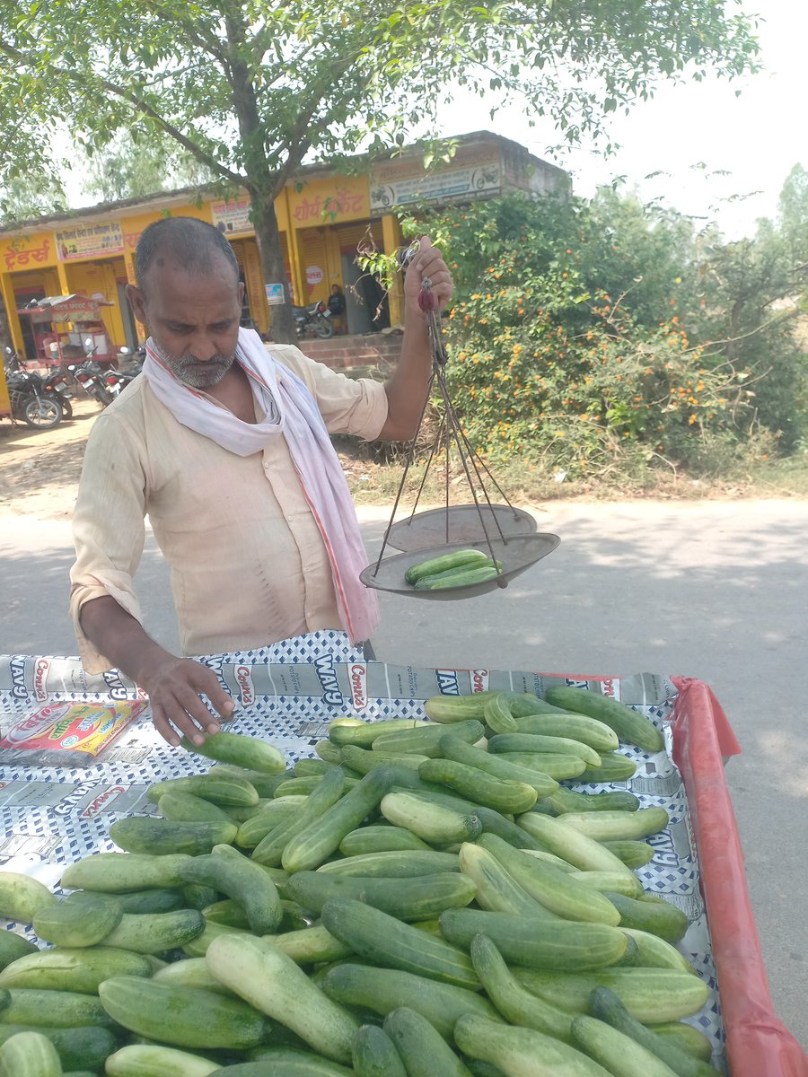 anandsri1977's tweet image. शास्त्रों में खीरा (कर्कटी) को शीतल, पित्तनाशक और शरीर को ताजगी देने वाला फल बताया गया है। 🥒🥒
गर्मी में यह सिर्फ स्वाद नहीं, बल्कि स्वास्थ्य और संतुलन का भी प्रतीक है।

प्रकृति की सादगी में ही सबसे बड़ी औषधि छिपी है। 💚
#Ayurveda #HealthyLife #Nature