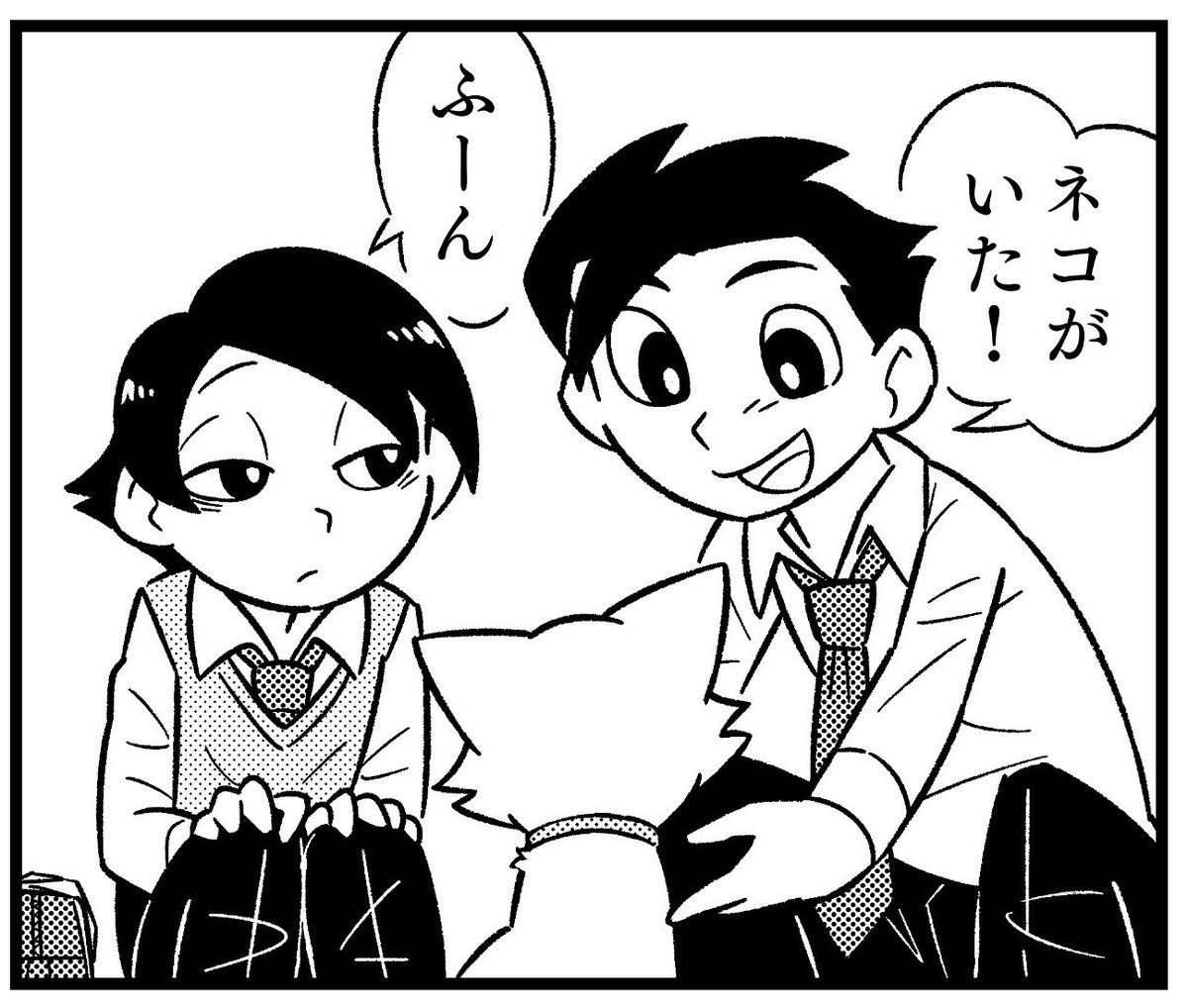 どーも！ tweet media