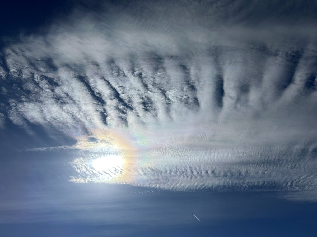 Michael Pivac tweet media