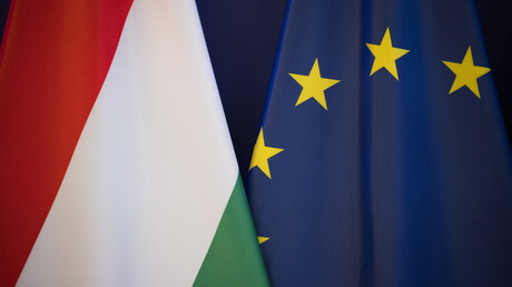 REF_INFO tweet media