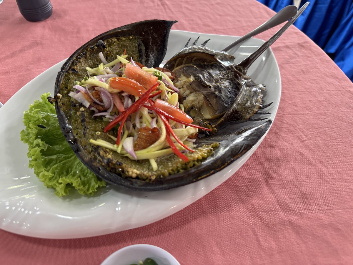 ゆっくり海外鉄Ch.🇲🇾 tweet media