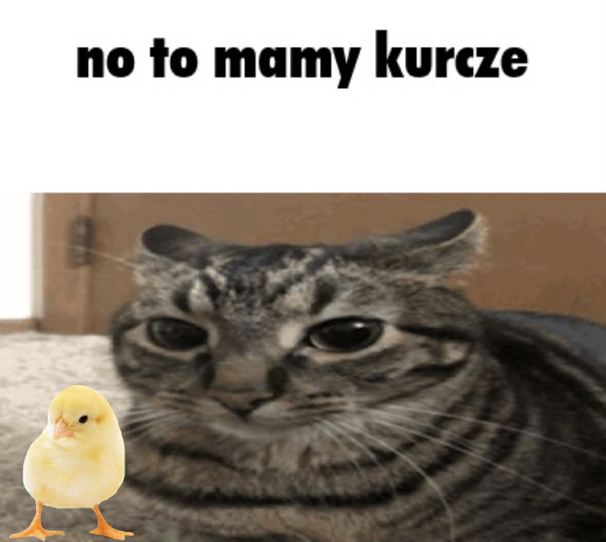 brudnypunk's tweet photo. Ja kiedy Mercedes przestał hamować https://t.co/I2SW7PqsxH