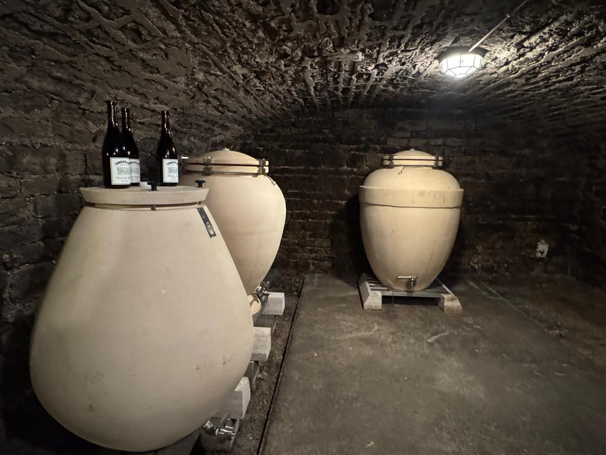 AmarzoaVV's tweet photo. Les Radicelles 🍇
Gevrey-Chambertin 🇫🇷

2023 marks the start of this small project by Mauricio &amp; Camille, working on selected parcels. Whole clusters, parcel-by-parcel vinification, gentle extraction, no additions.

You can find their wines at @vilaviniteca https://t.co/BmhkrCUR8j
