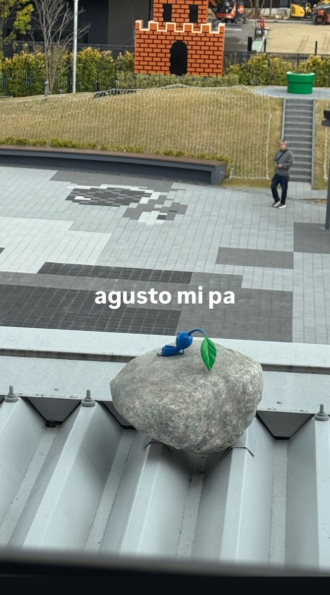 Only Roier 🕷 tweet media