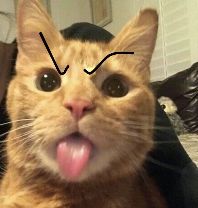 Juhoon 🐢 tweet media