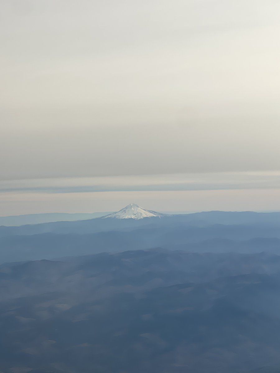 🅰️ndy 🦞 tweet media