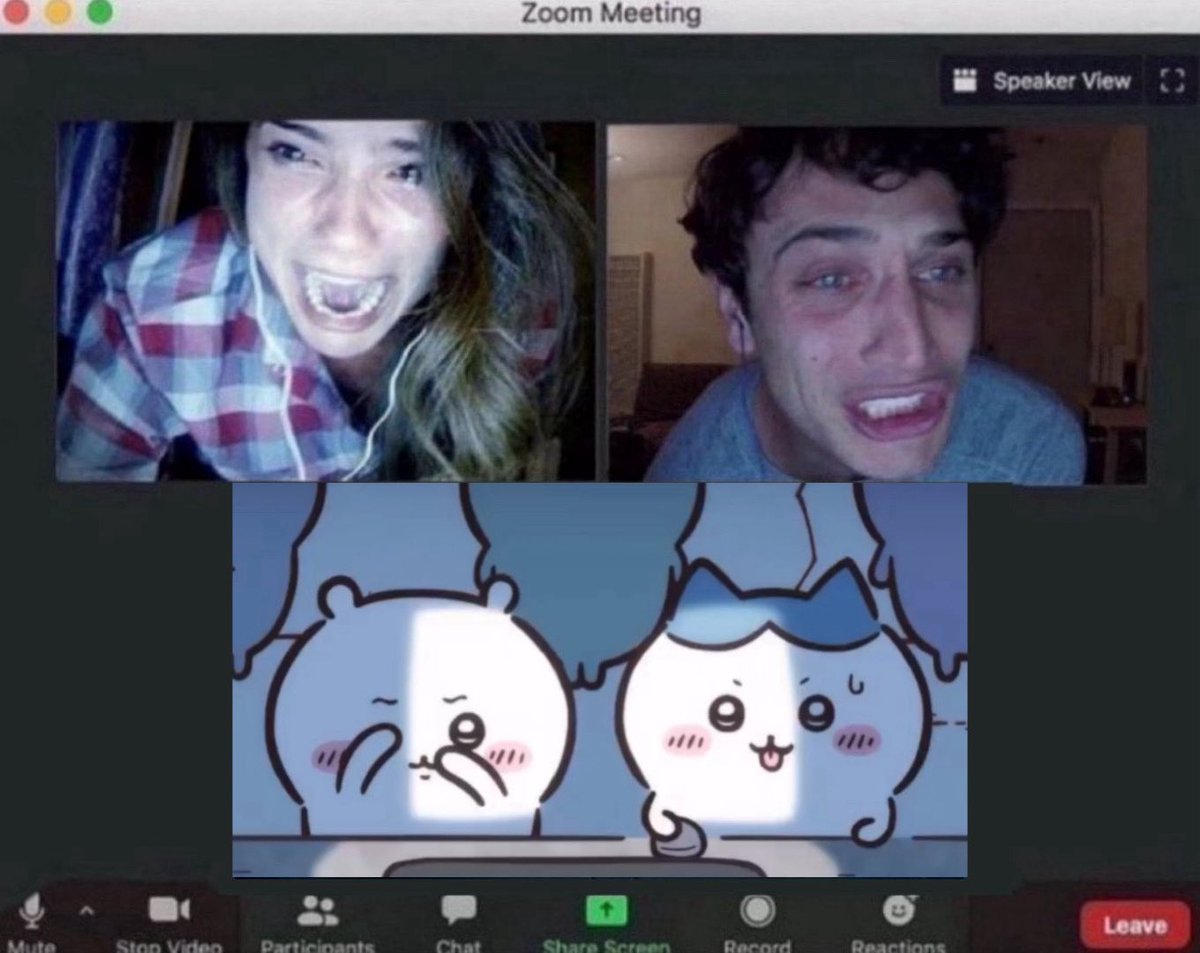 amber ♡ tweet media