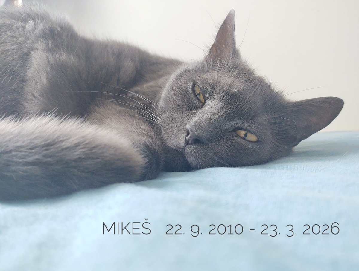 Mumželka 🌈 tweet media