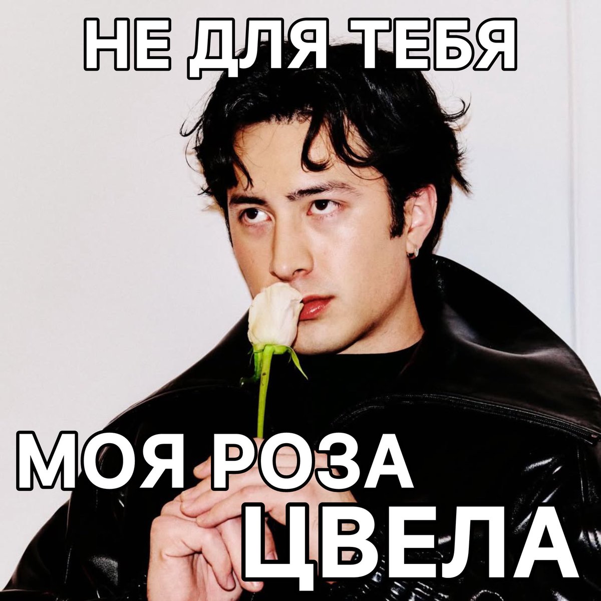 мемс донт блаш tweet media