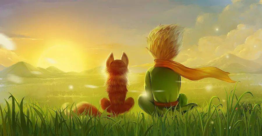 shawn burman tweet media