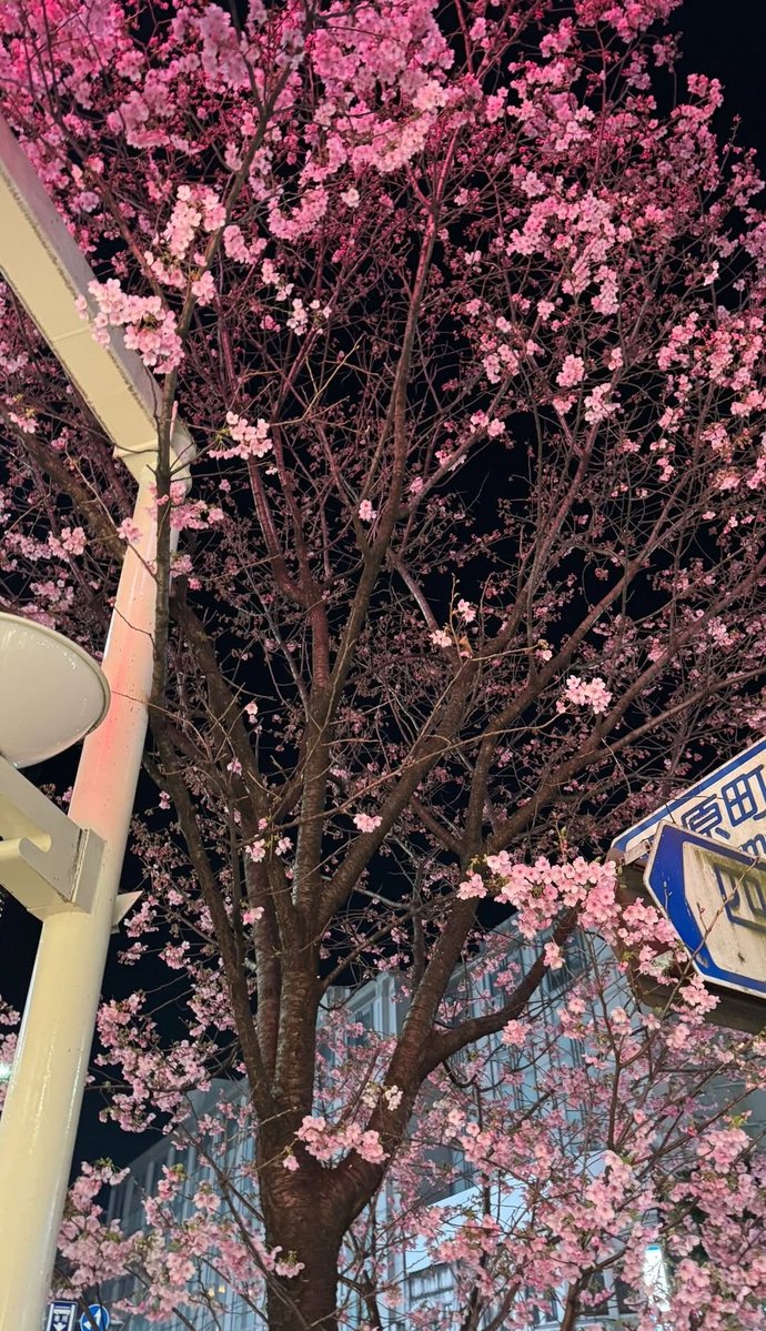 Only Roier 🕷 tweet media