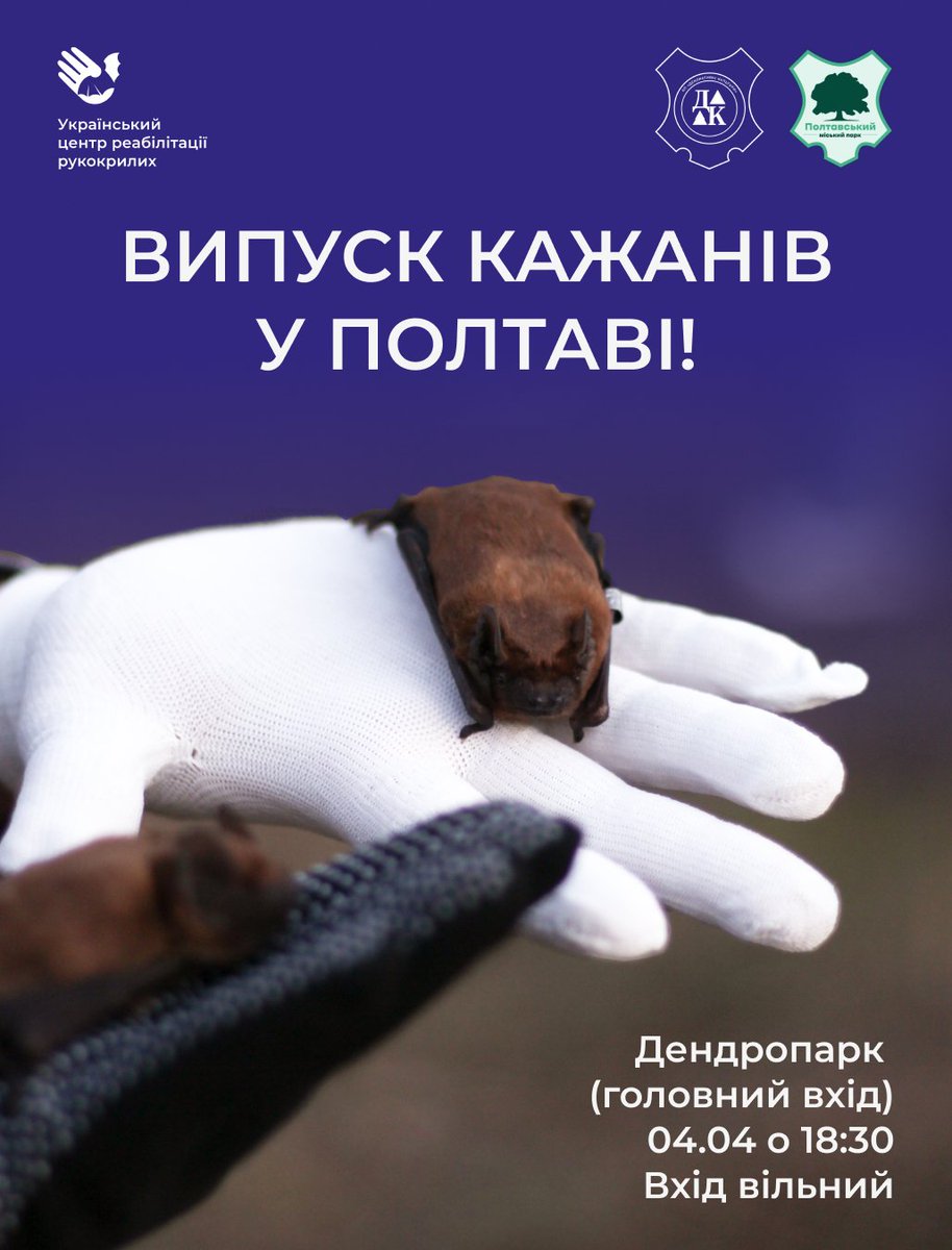 Bats Ukraine tweet media
