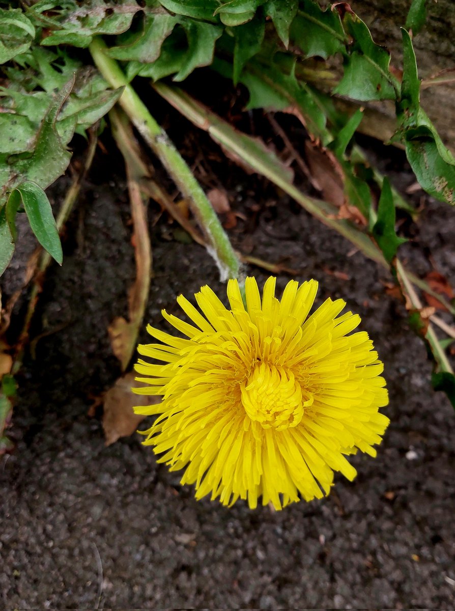 Nick Marston tweet media