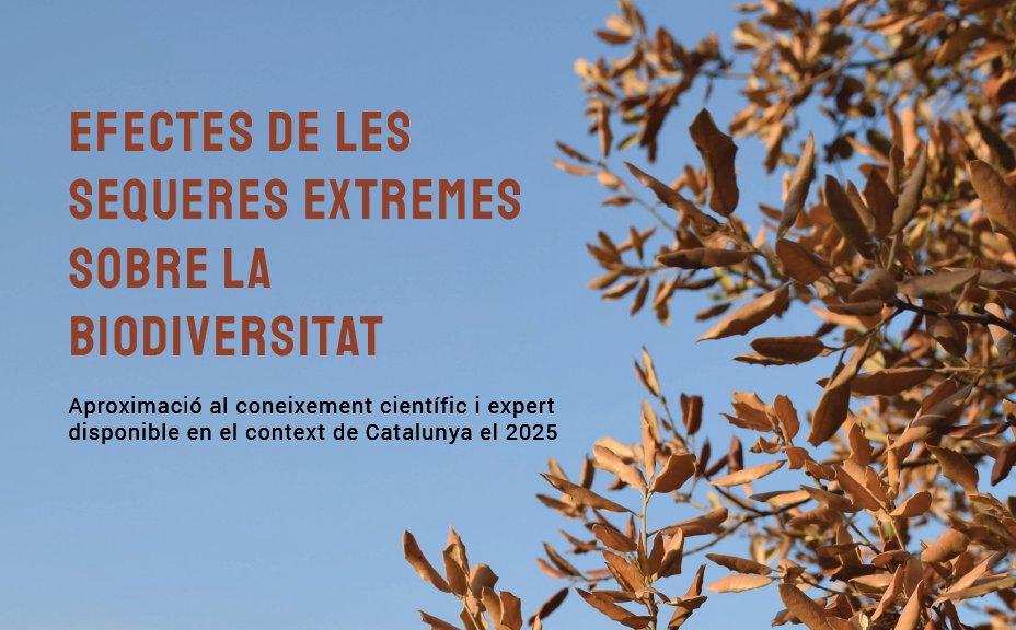 Observatori del Patrimoni Natural i Biodiversitat tweet media