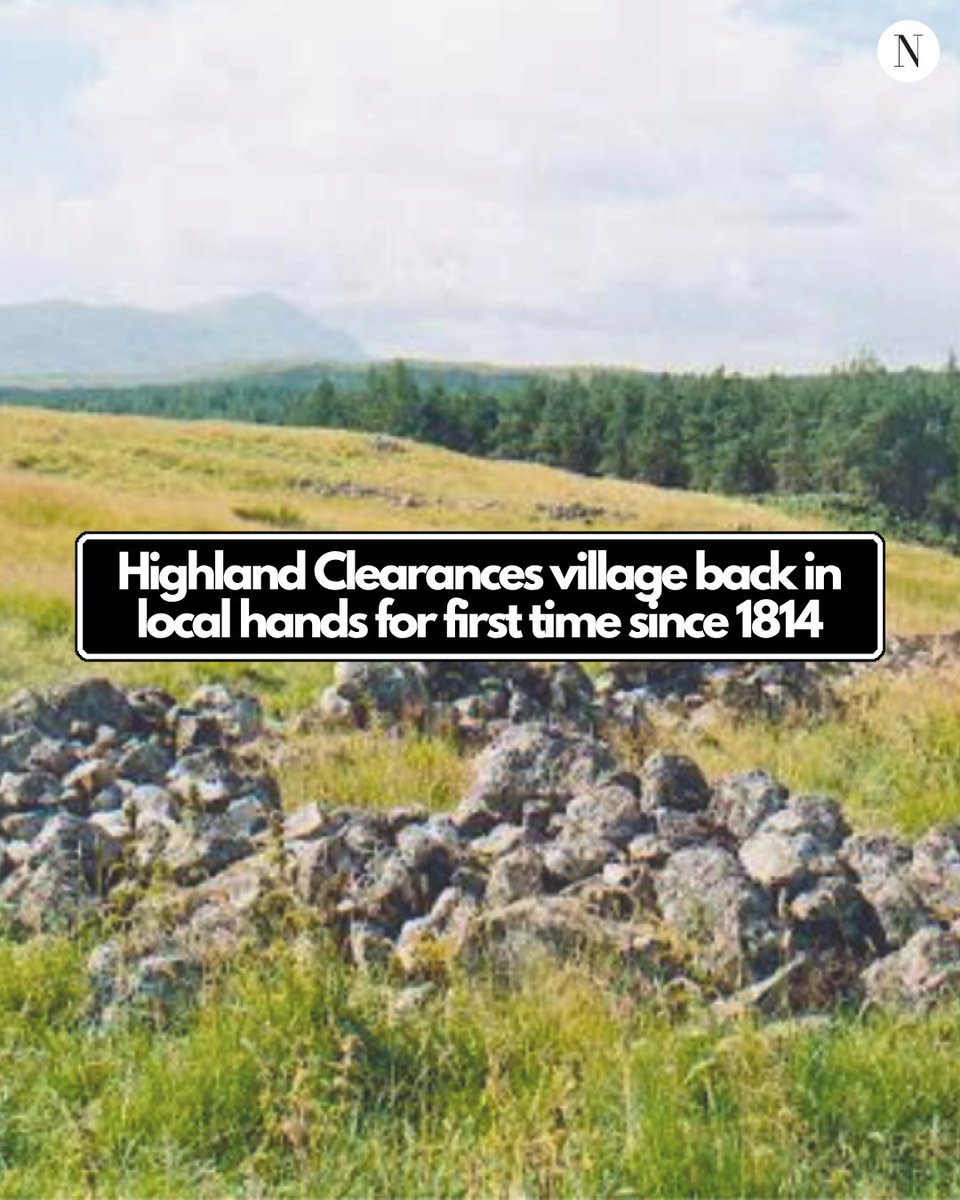 The National tweet media