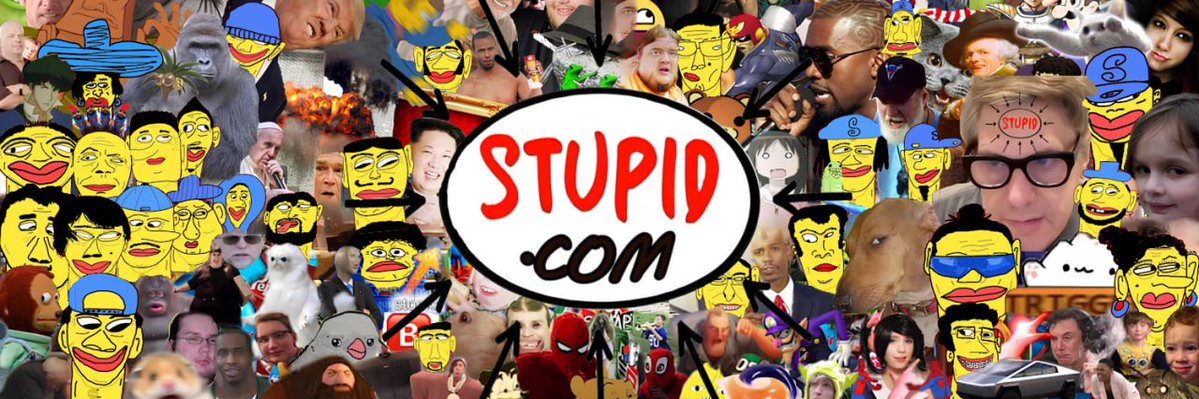 Stupid 🚫🧠 tweet media