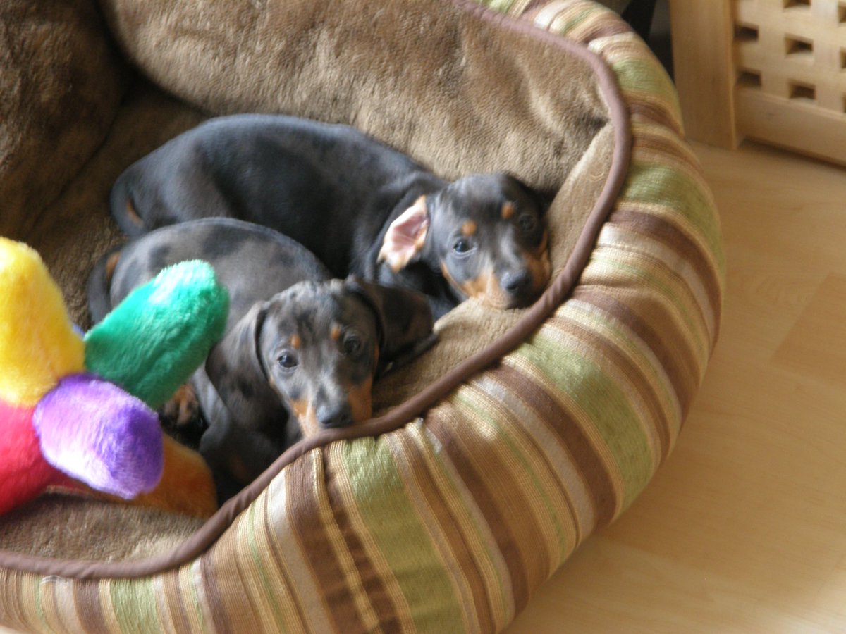 Courtney tweet media