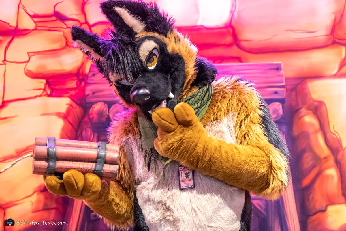 Fudgy Shepherd tweet media