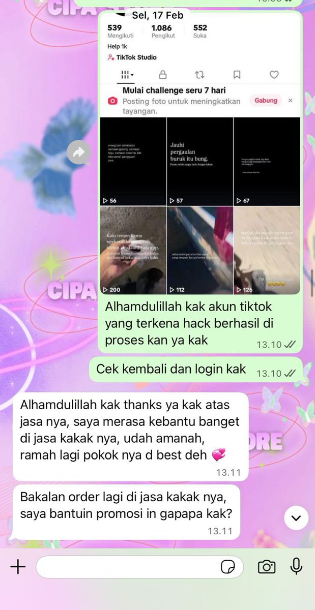 cipaa- @ after dm / wa for fast! tweet media