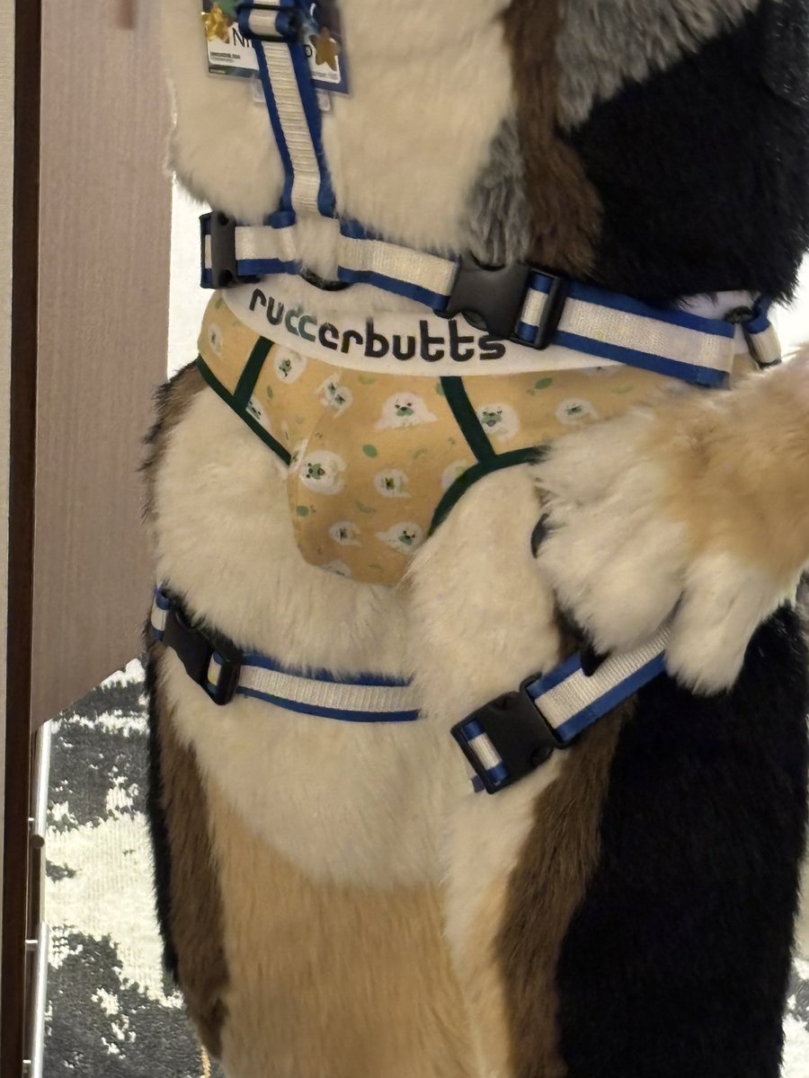 Nitro Sheef 🔞🔜 𝗙𝗪𝗔 tweet media