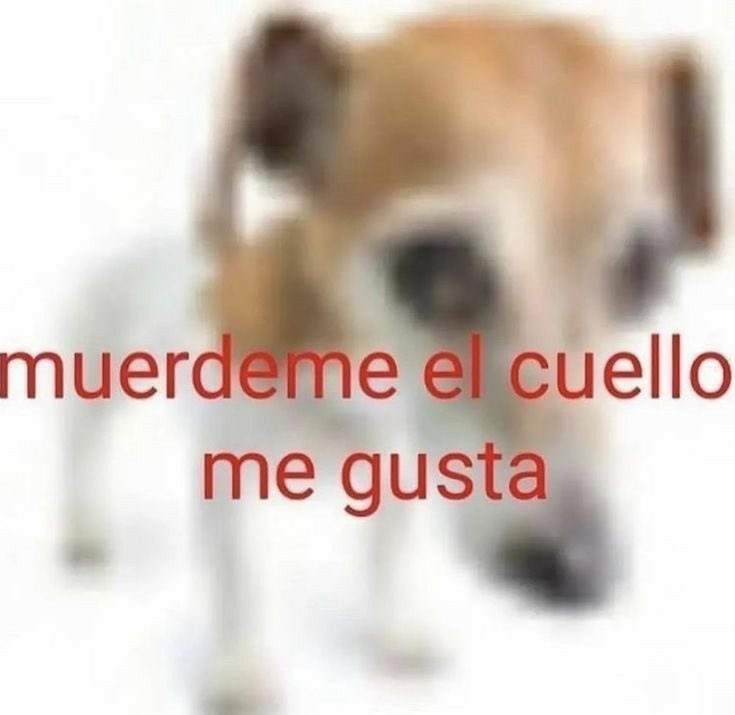 q me muerdan el cuello me pone hot