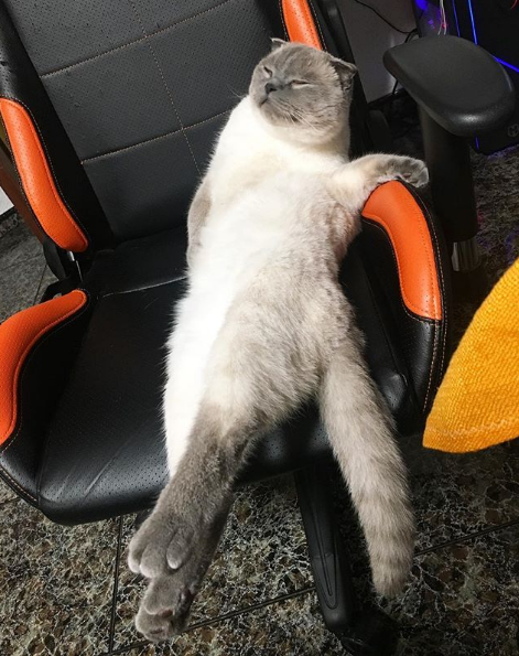 Eric 'Diablo' Murillo tweet media