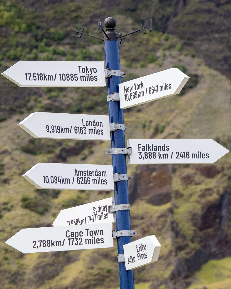 Swan Hellenic tweet media