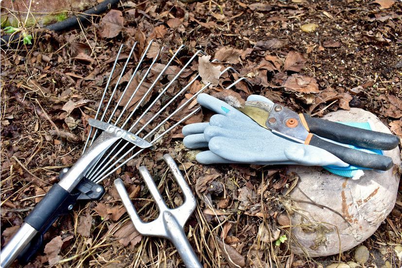 CITY OF SAINT PETER tweet media